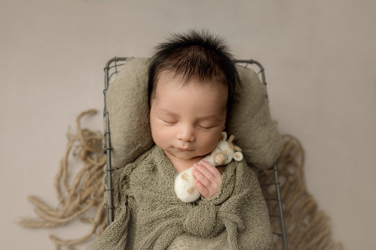 Newborn Photo Shoot Vancouver Burnaby baby boy holding a giraffe