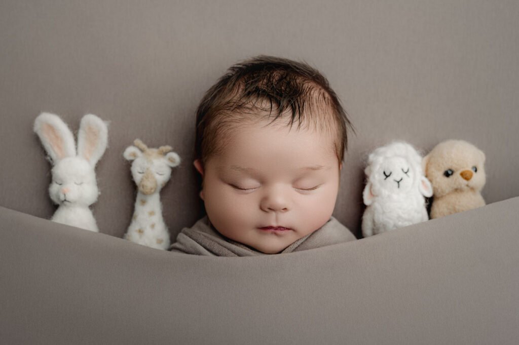 A baby is sleeping on a gray surface, wrapped in a blanket, with four plush toys—a rabbit, giraffe, lamb, and bear—lined up beside them. Capture sweet moments like these with Newborn Photography Vancouver.